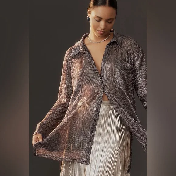 Pilot Metallic Buttowndown shirt - Anthropologie size small - silver - Picture 2 of 4